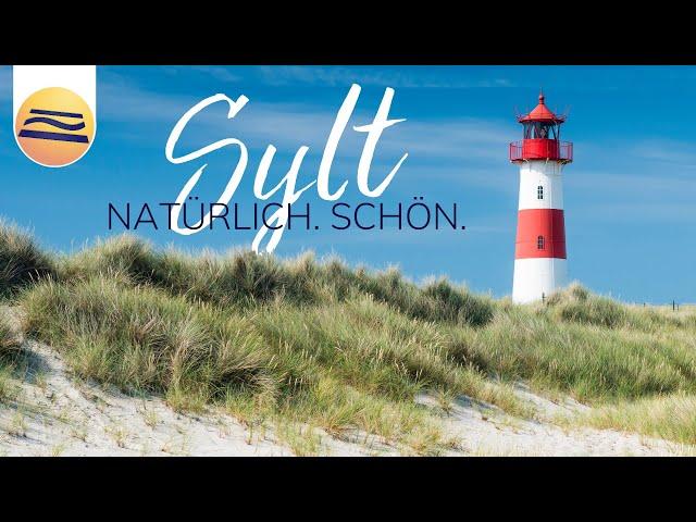 Naturschönheit Sylt | Zwischen Dünen, Strand und Heide