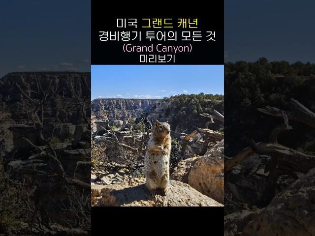  미국 그랜드 캐년 경비행기 투어+야생동물 #그랜드캐년 #grandcanyon #미서부여행