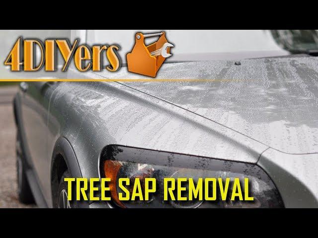 How to Remove Tree Sap from your Vehicle's Paint - 4 Different Methods