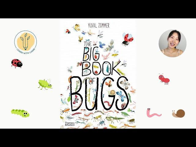 The Big Book Of Bugs by Yuval Zommer