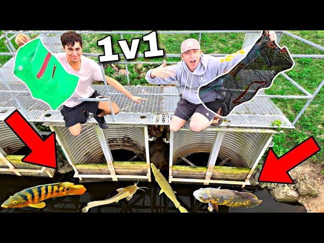 1v1 Fish Trap CHALLENGE in the Florida Everglades for EXOTIC FISH!!