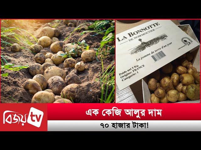 এক কেজি আলুর দাম ৭০ হাজার টাকা! Bijoy TV