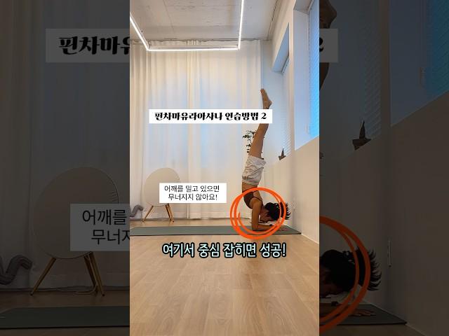 요가마스터가 알려주는 원포인트레슨! 핀차마유라아사나 연습 2 #sorts#요가#요가수련#yogameditation#yoga#yogalife#이정은요가#여동구요가
