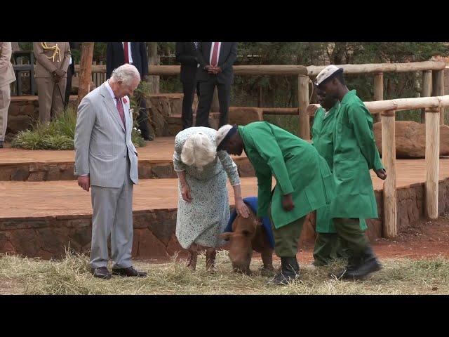 King Charles joins Camilla at Sheldrick Wildlife Trust in Nairobi | AFP