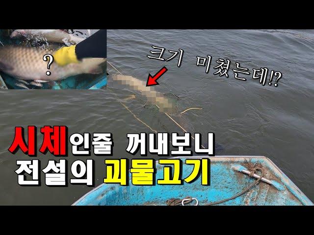 떠밀려온 시체인줄 알았는데...1미터가 넘는 전설의 괴물고기가 잡혔습니다ㄷㄷ