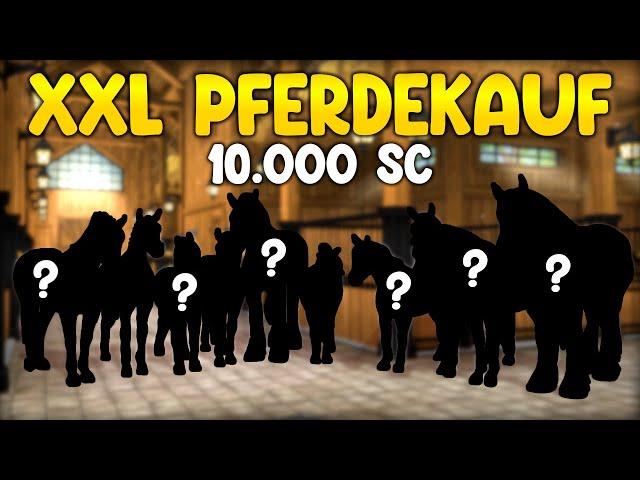 PFERDEKAUF ESKALATION!  10.000 Star Coins ärmer...  - Blackmoon Stable