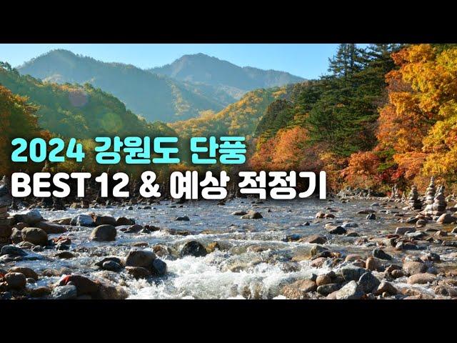 [강원도 Best 단풍명소 12곳] 단풍전문 여행 에디터가 추천하는 2024 강원도 단풍명소