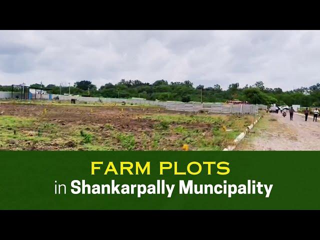 Farm Plots for Sale at west zone near shankarpally || Subiksha Infra Developers || Amaayra Homes