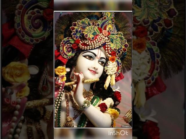 Madhaba Mukunda Hari #jayshreekrishna #jayjagannath