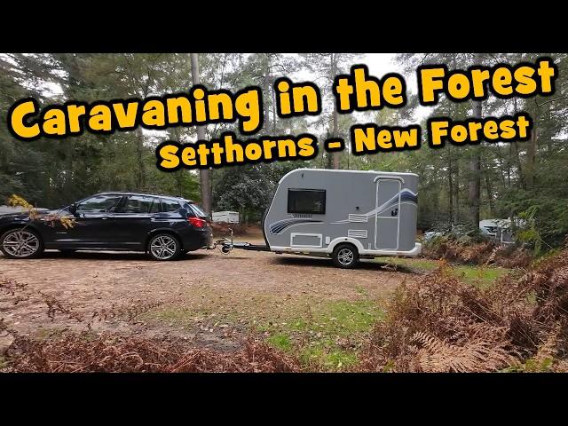 Tiny Caravan at Setthorns Campsite between the Forest Trees