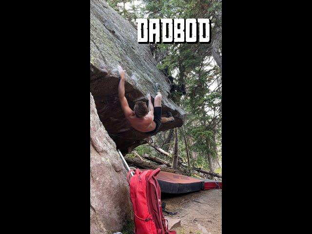 Dadbod V9 - Stone Garden