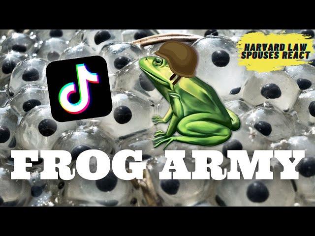 Lawyers react to TikTok’s FROG ARMY