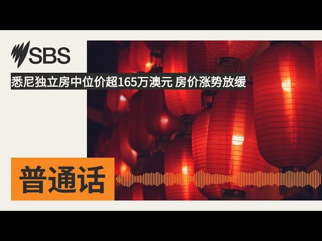 悉尼独立房中位价超165万澳元 房价涨势放缓 | SBS Mandarin - SBS 普通话电台