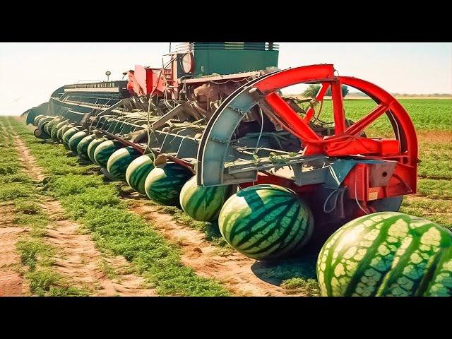 Will Vietnamese Farmers Go Jobless with 25 Giant Harvesting Machines from the USA