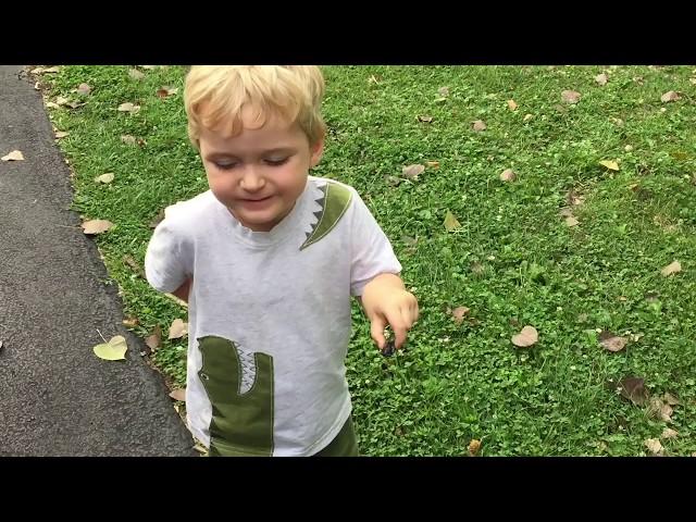 Ohio Turtles!! Brantley catches his first Map Turtle and More! More Snakes coming soon