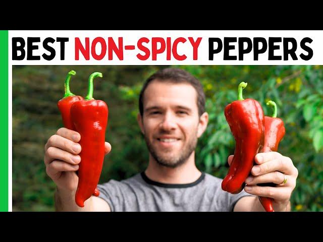 7 NON-SPICY Peppers To Grow This Year