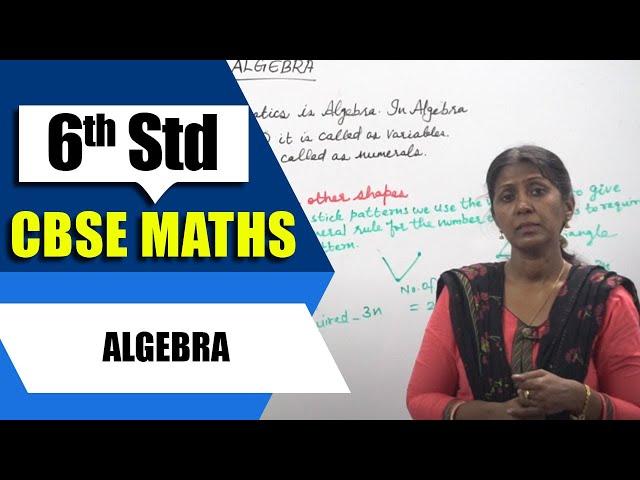 6th Std CBSE Maths Syllabus | Algebra | CBSE Maths