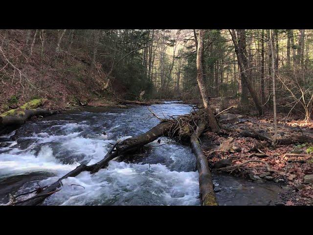 North River Tailwaters