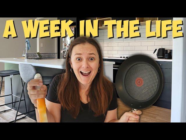 South Africans in New Zealand l Week in the Life l Raw vlog l March/Apr 2023