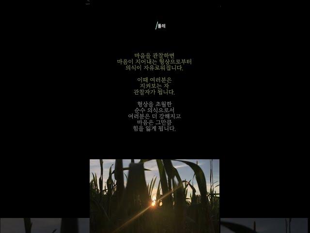 1분 명상 [15일차] 에크하르트 톨레