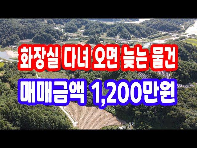 땅 시골 땅,매매 1,200만원 급매물과 반값매매 경북땅 시골생활 산 속 골 자연인 토지 매매 산 속 땅 싼 땅 산촌생활 산 골 땅 영주부동산 영주땅매매