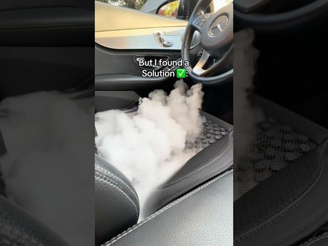 THE BEST thing for my car this summer !️