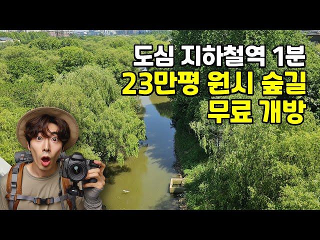 국내 최초! 서울에서 23만평의 원시 숲길을 만나다 |  국내 최초 생태공원! | 도심산책 | 대중교통 당일치기 여행ㅣ지하철 여행ㅣ트레킹 코스ㅣ서울산책