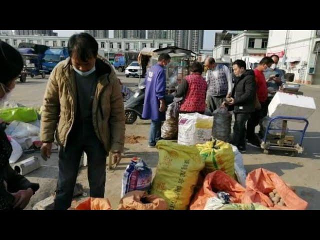 宏进，农批批发市场，这里的水果蔬菜真的是太便宜了，进货入村卖