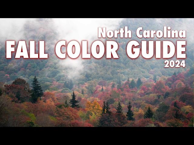 Guide to fall foliage on the Blue Ridge Parkway (North Carolina)