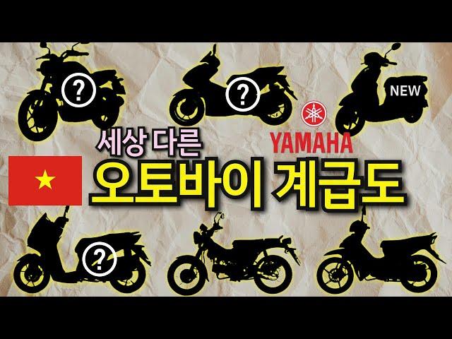 Vietnam Motorcycle Rankings (Yamaha) | Top 6 Must-Have Recommended, Price, Pros & Cons Summary All