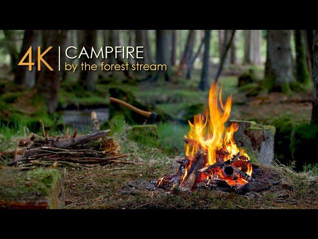 Forest Campfire by the Small Stream Relaxing Sounds & Sleep