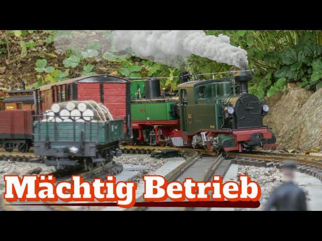 Herbstlicher Gartenbahn-Fahrtag mit sächs. IK & IV K | 20.10.2024