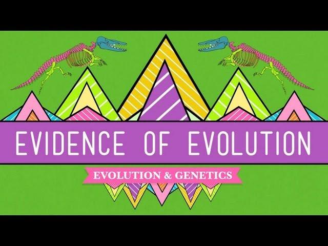 Evolution: It's a Thing - Crash Course Biology #20