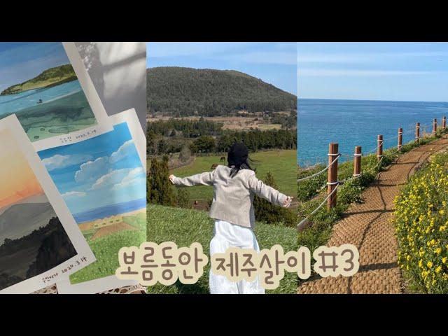 보름동안 제주살이#3 / jeju vlog • 방긋스낵 • 비자림 • 카페록록 • 아부오름 • 하도핑크 • 함덕서우봉 •  무거버거 • 책다방 • 재주그림관 • 요요무문 • 수카사