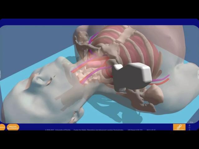 Mixed Reality Simulation of Central Venous Access