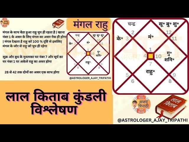 How To Read Lal Kitab Kundli | Janam Kundli Analysis | Kundli Vishleshan | Lal Kitab Kundali