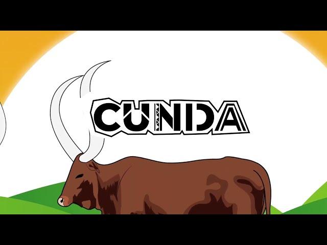 CUNDA BY RUTI JOEL (visualizer)