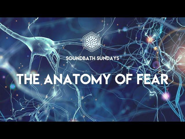 The Anatomy of Fear