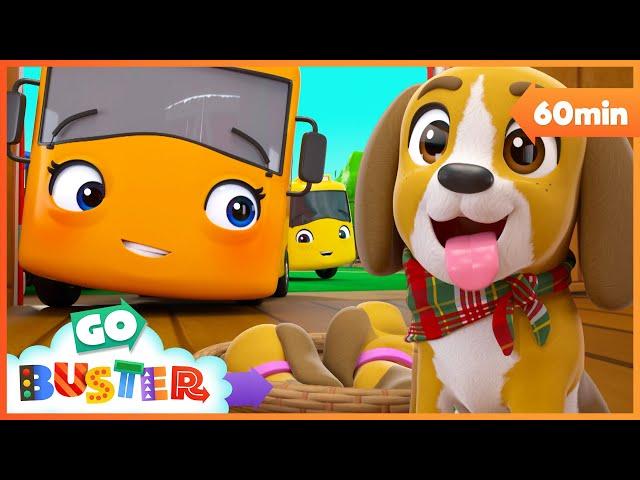 Buster Saves the Puppy | Go Buster - Bus Cartoons & Kids Stories