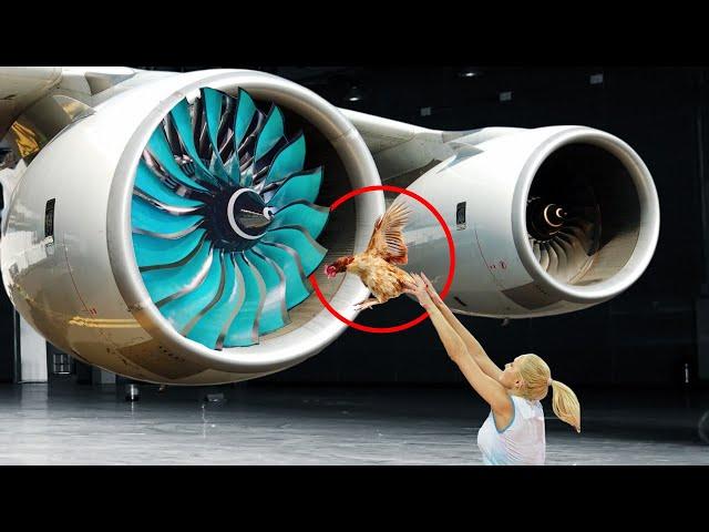 Bird Strike Test: How Aircraft Engines are Tested️ [She throws the chicken inside Turbojet engine]