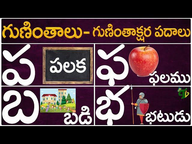 Guninthalu Guninthakshara Padalu | ప ఫ బ భ గుణింత పదాలు |Pa Pha Ba Bha Gunintha Padalu |Telugu Vanam