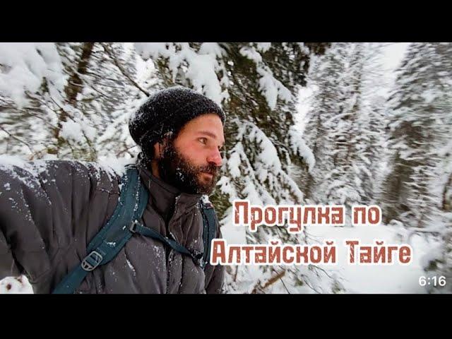 Зимняя Алтайская прогулка. Моя жизнь в стиле Бэккантри. Телецкое озеро.