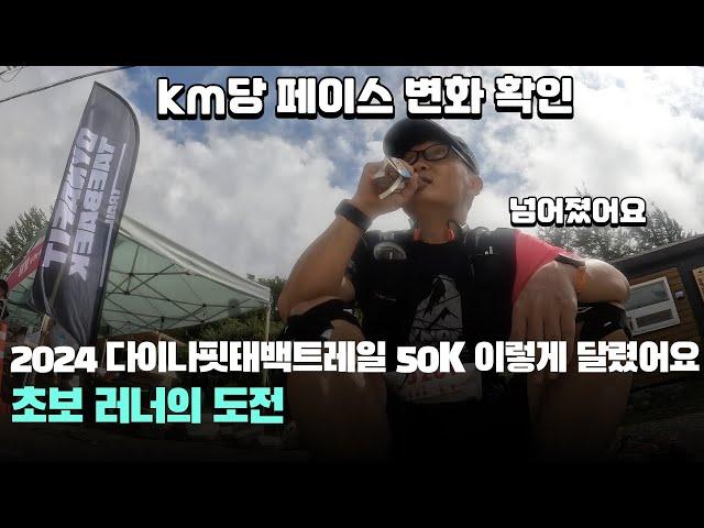 코스 어때? 초보 러너의 도전! 2024 다이나핏태백트레일 50K 이렇게 달렸어요! with 순토레이스S 트레일러닝 50K