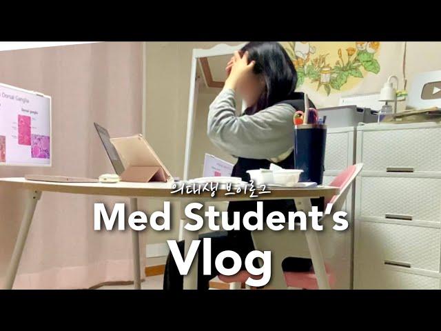 All-nighter Study Marathon‍️Neverending tests, presentations, assignmentsMedical student Vlog