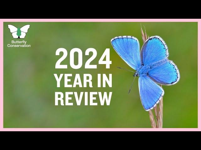 Butterfly Conservation's 2024 Year in Review