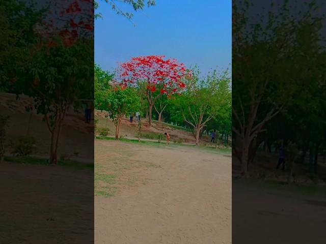 Badal banva ke Mausam  #bhojpuri #love #shortvideo #trending #viralvideo @Arjun1435#gorw