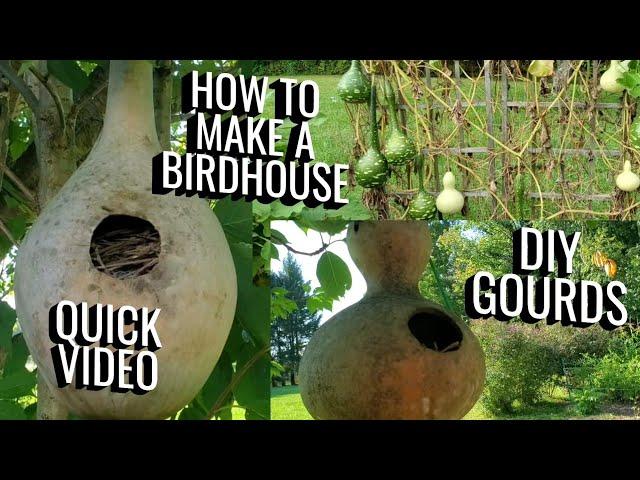 DIY Birdhouses from Homegrown Gourds