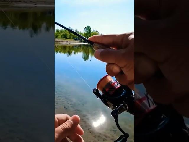 ПОЙМАЛ ЯЗЯ НА МИКРОДЖИГ #ультралайт #рыбалка #микроджиг