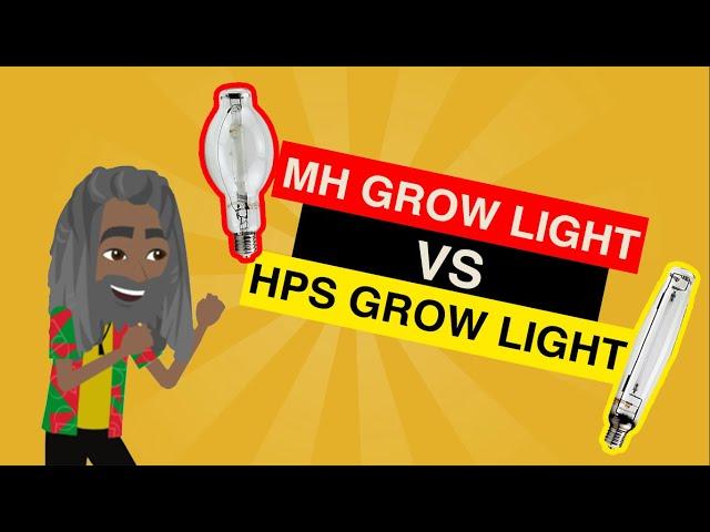 MH vs HPS Grow Lights