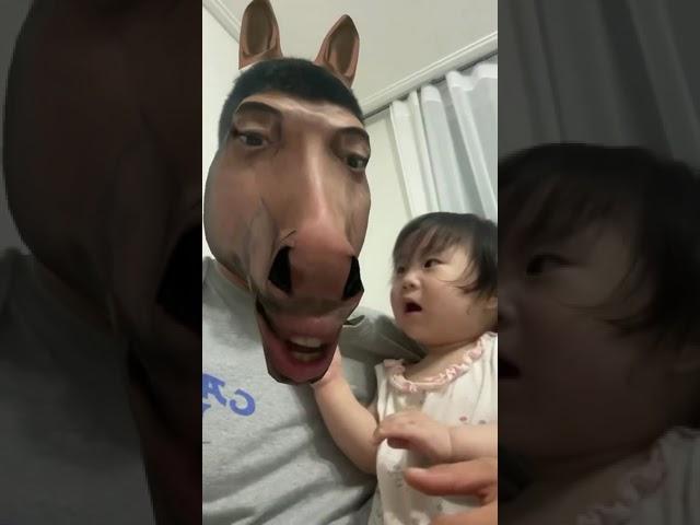 Funny Horse Face Video 